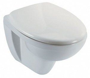 Унитаз подвесной Jacob Delafon Patio E4187