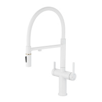 Смеситель для кухни с подключением фильтра для воды Rose R458C белый