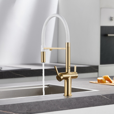 Смеситель для кухни с подключением фильтра для воды Rose R458G золотой сатин