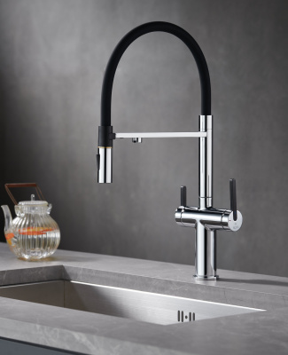 Смеситель для кухни с подключением фильтра для воды Rose R458 хром