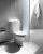 Унитаз-компакт Roca Victoria 342399000 Унитаз-компакт Roca Victoria 342399000