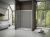 Душевая дверь GOOD DOOR LATTE WTW-TD-170-C-WE