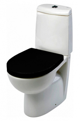 Крышка-сиденье Roca Victoria Nord Black Edition ZRU9302627